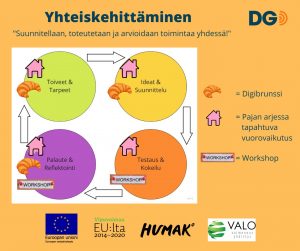 Hankkeessa mallinnettu yhteiskehittämisen kaavio.